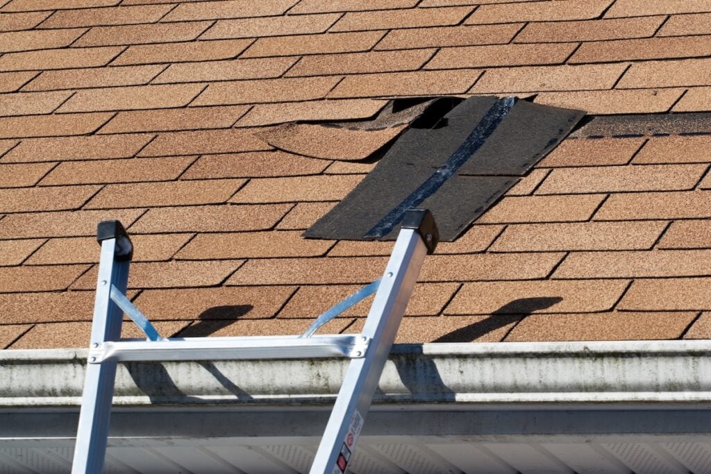 A metal ladder leans against a house with brown shingles, showing types of roof damage where several shingles are missing or lifted near the gutter. types of roof damage