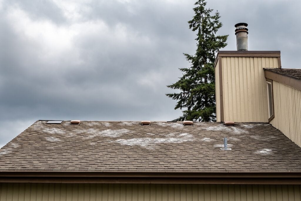 A house roof with patches of discoloration and granular loss on roof, along with some vent pipes, set against a cloudy sky, with a tall evergreen tree visible in the background.
