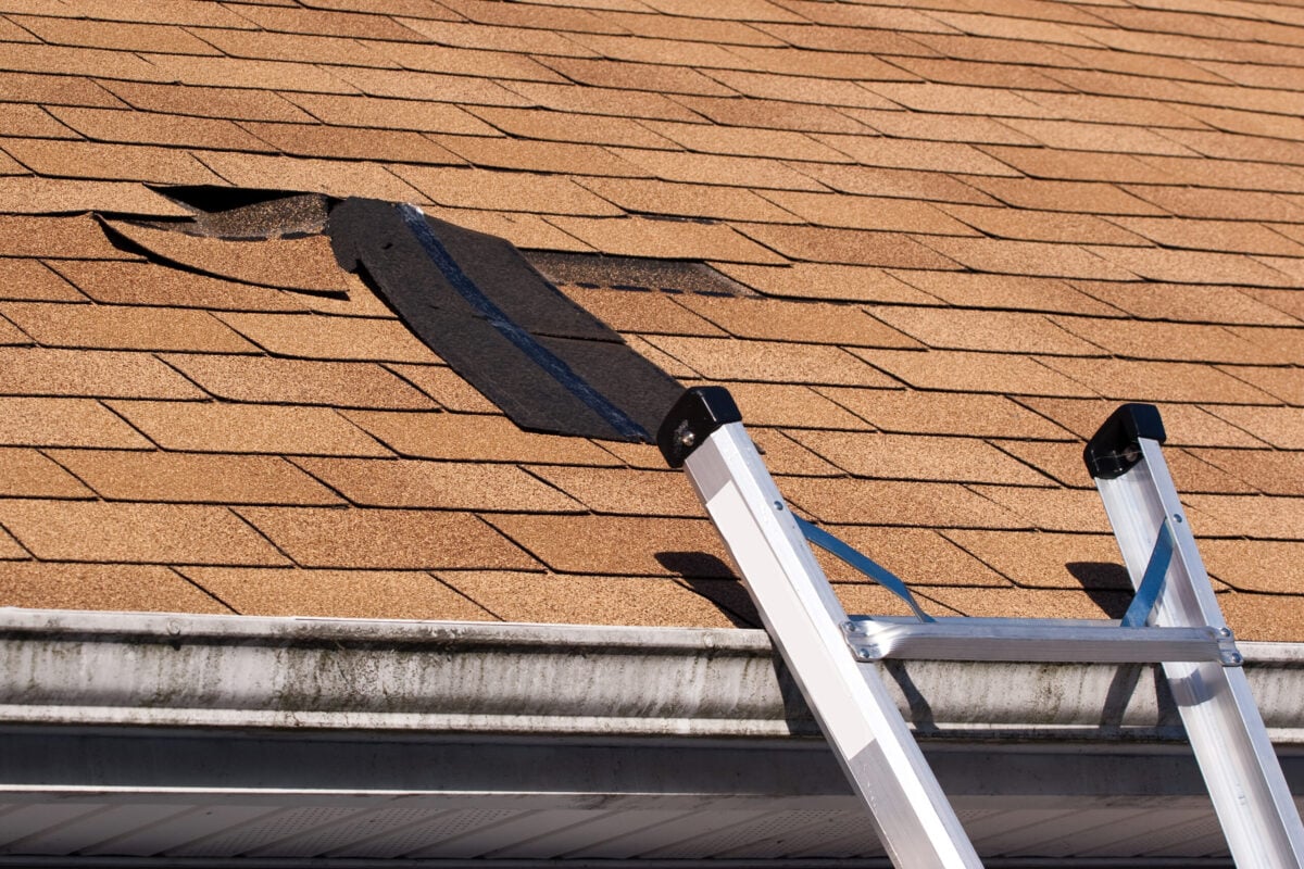 A ladder leans against the edge of a house roof with brown shingles, and several missing shingles on the roof near the top expose the underlayment beneath, likely caused by wind damage.