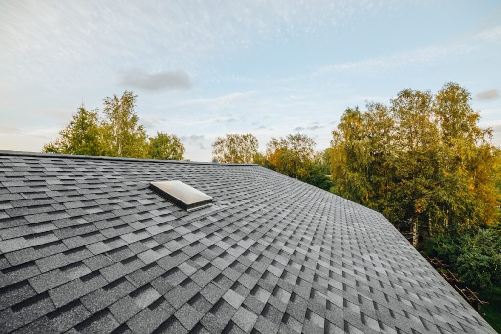 A gray shingle roof with a skylight window sits beneath a blue sky, surrounded by tall green and yellow trees. roof maintenance