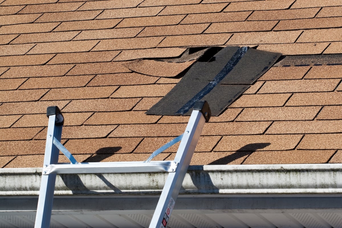 A damaged asphalt shingle roof shows signs of wind damage to roof, with several shingles missing or lifted and the black underlayment exposed. A metal ladder is propped against the gutter, indicating roof repair work. wind damage to roof