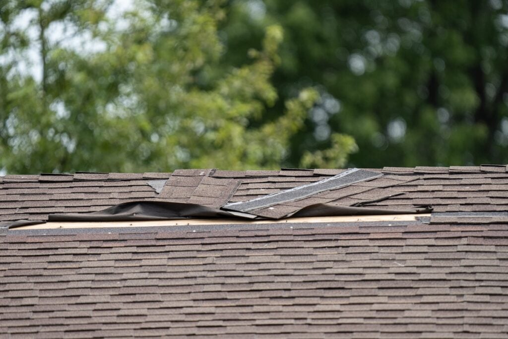 Brown roof shingles are damaged and lifted from wind damage to roof, exposing the underlying layer, with green trees blurred in the background. wind damage to roof
