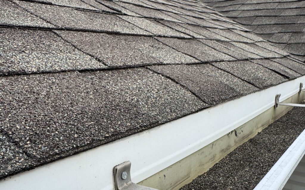 Close-up view of a shingled roof with an attached white gutter, containing leaves and debris. The roof shingles appear worn and textured, and the gutter shows some discoloration and buildup.