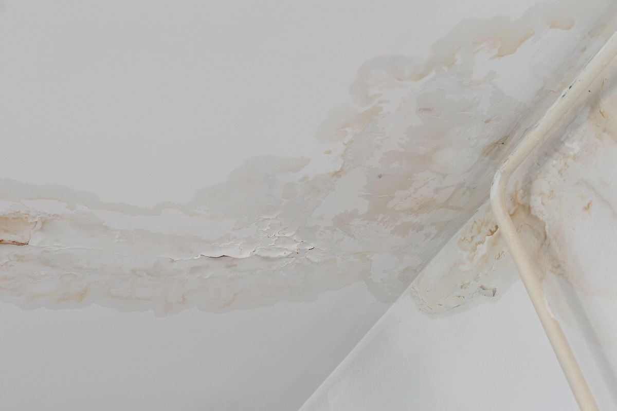 Water stain on white ceiling