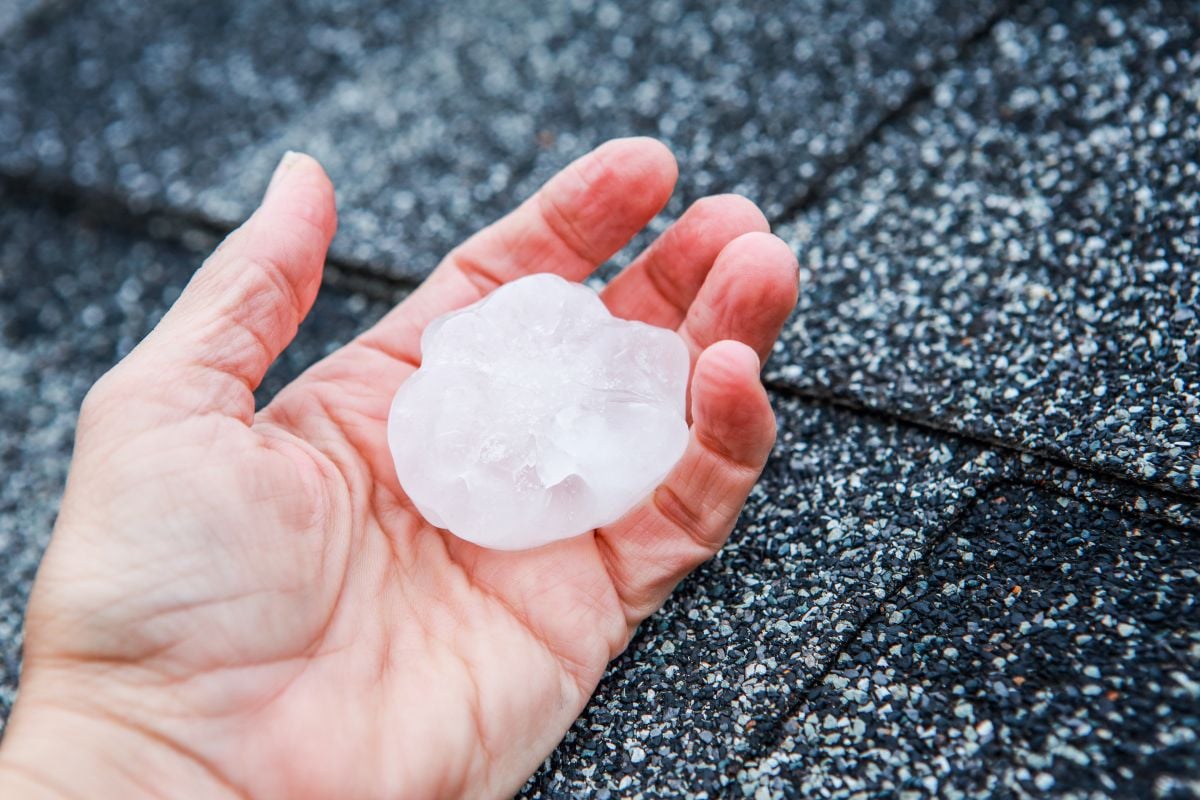 hail damage roof repair hand holds a large, irregularly shaped hailstone against a background of dark asphalt roof shingles.
