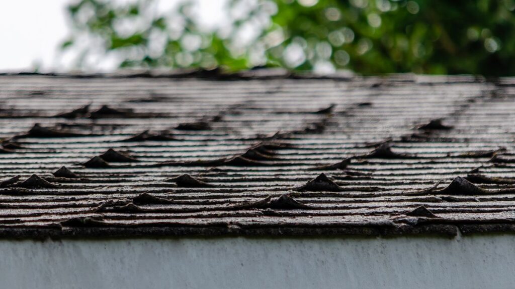 Close-up of curled roofing shingles