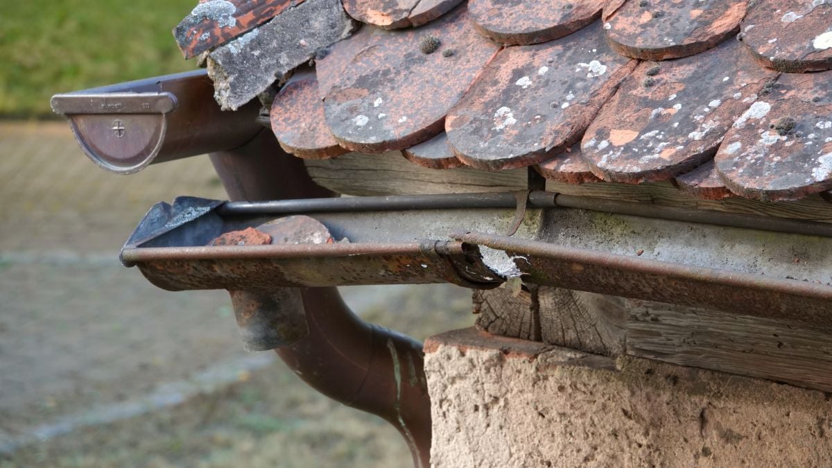 gutter repair services A close-up of a roof with reddish, weathered shingles and a damaged, rusty gutter with a hole, attached to an old wall. The gutter is bent and leaking water, while moss grows on some surfaces.