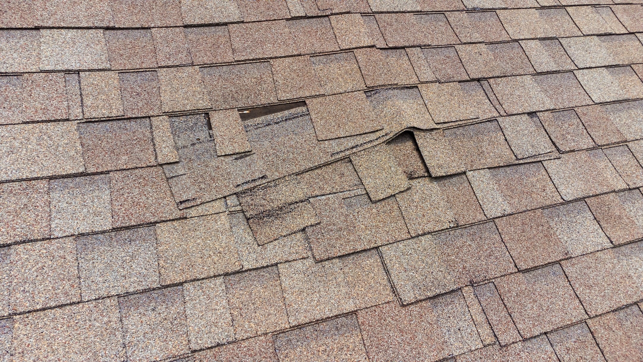 Several brown asphalt roof shingles are lifted and misaligned, revealing the underlayment beneath, indicating potential roof damage and the need for repair.