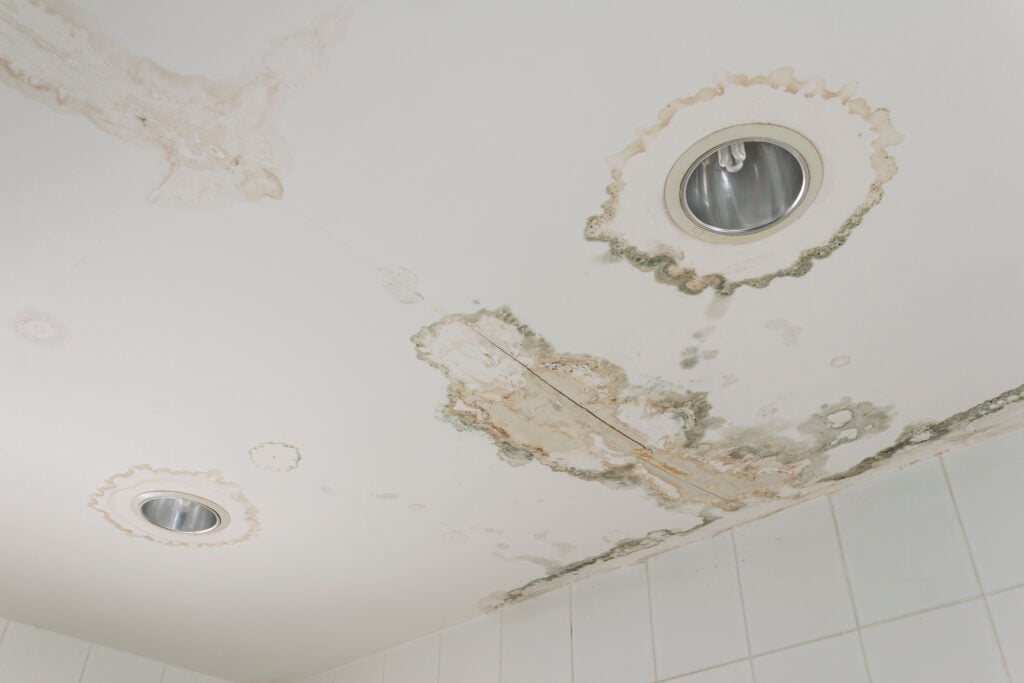 signs you need a new roof Ceiling with water damage and mold stains around recessed lights in a tiled room, indicating leaks and moisture problems.